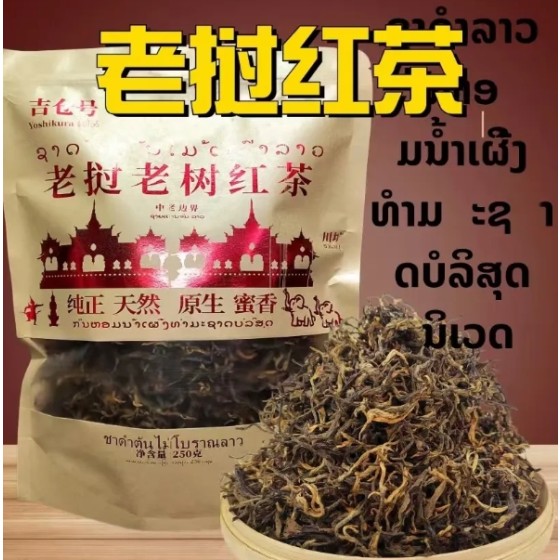 老挝丰沙里高杆古树茶生茶高端普洱茶正品古树茶正宗老挝古树